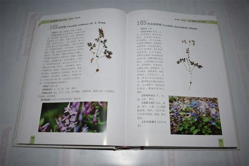 鸡公山万国文化研究会2021年会员代表大会暨文化艺术交流活动圆满举行